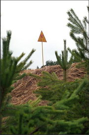 Чернобыль: Мёртвый город... Чернобыль: Мёртвый город...