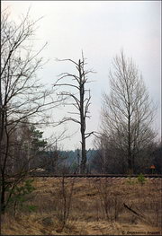 Чернобыль: Мёртвый город... Чернобыль: Мёртвый город...