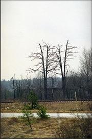 Чернобыль: Мёртвый город... Чернобыль: Мёртвый город...