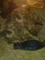 Сталкерс Пати оф Узбекистан (г. Ташкент)