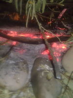 Сталкерс Пати оф Узбекистан (г. Ташкент)