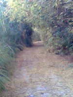 Сталкерс Пати оф Узбекистан (г. Ташкент)