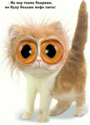 (Тема не указана) (Тема не указана)