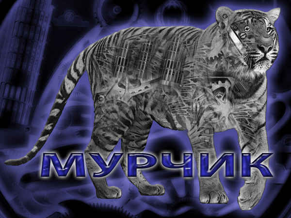 ***************************** *****************************