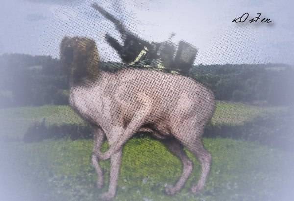 (Тема не указана) (Тема не указана)