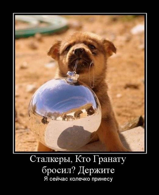 (Тема не указана) (Тема не указана)