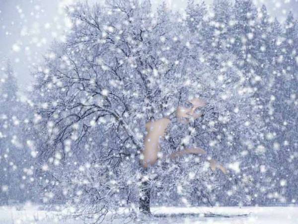 _Леший, я тебя не в чем не _Леший, я тебя не в чем не