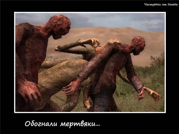 А это мои частушки: А это мои частушки: