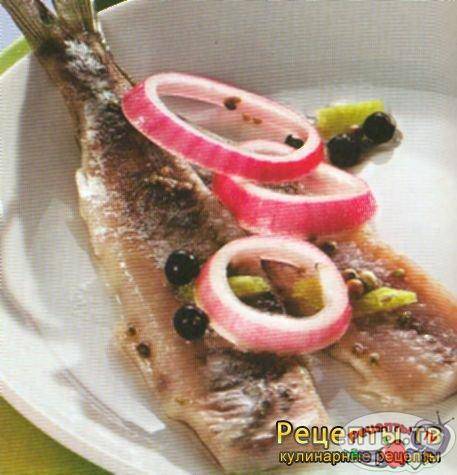 А вот и закусон! А вот и закусон!