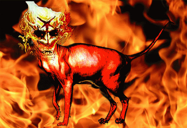 адский коте адский коте