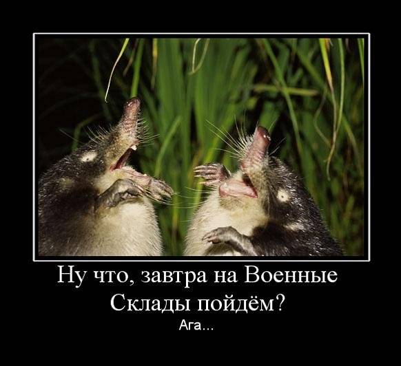 Что соскучились? Ну-ну... Что соскучились? Ну-ну...