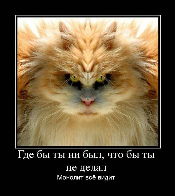 Что соскучились? Ну-ну... Что соскучились? Ну-ну...