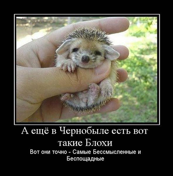 Что соскучились? Ну-ну... Что соскучились? Ну-ну...