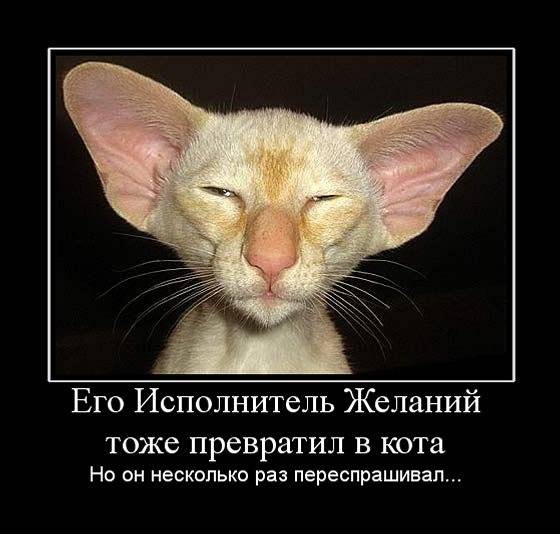 Что соскучились? Ну-ну... Что соскучились? Ну-ну...