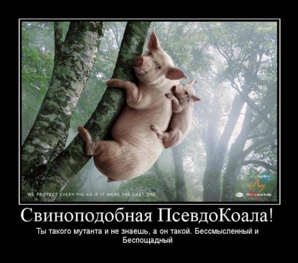 Что соскучились? Ну-ну... Что соскучились? Ну-ну...