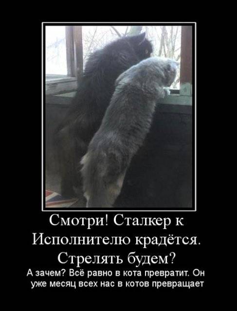 Что соскучились? Ну-ну... Что соскучились? Ну-ну...