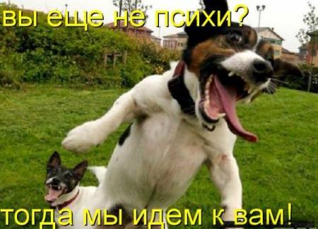 чувак,типа-мир!Дай выспаться чувак,типа-мир!Дай выспаться