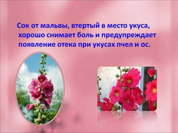 Дизель, пойдет?
Spoiler: Дизель, пойдет?
Spoiler: