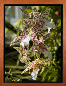 До 1 марта ещё очень далеко.А До 1 марта ещё очень далеко.А