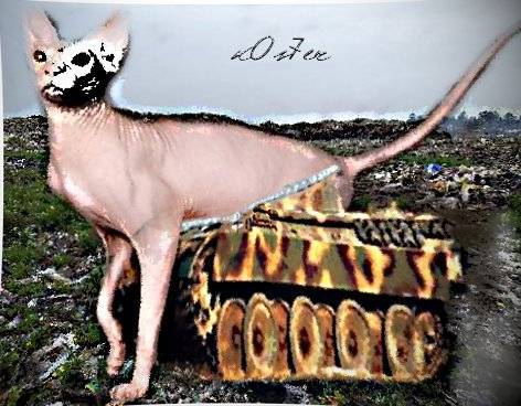 Двое сталкеров брели мимо Двое сталкеров брели мимо