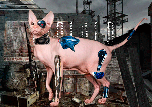 Это я просто так Это я просто так