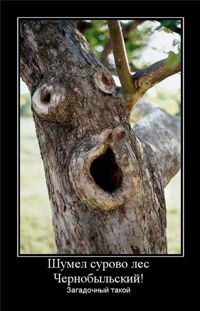 good man, не забывай good man, не забывай