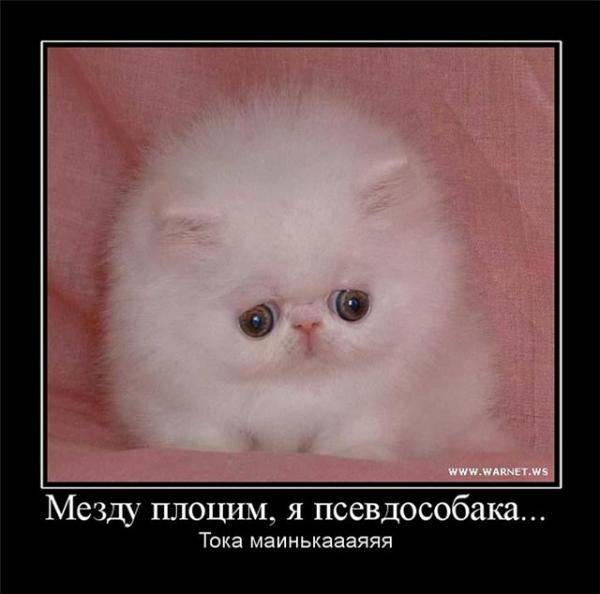 good man, не забывай good man, не забывай