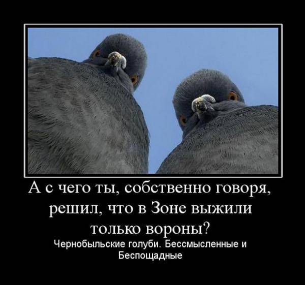 good man, не забывай good man, не забывай