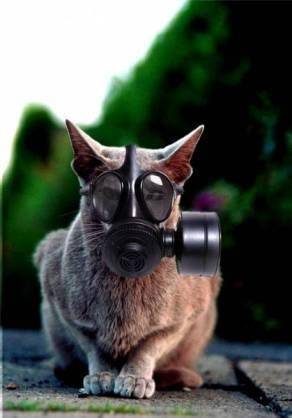 Хронофаг! А я себе уже