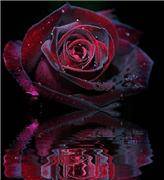 LegioN, поздравляю! LegioN, поздравляю!