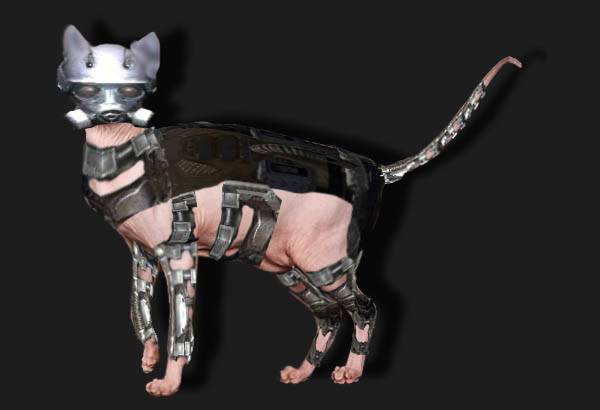 Лидер группировки Коты (ранг Лидер группировки Коты (ранг