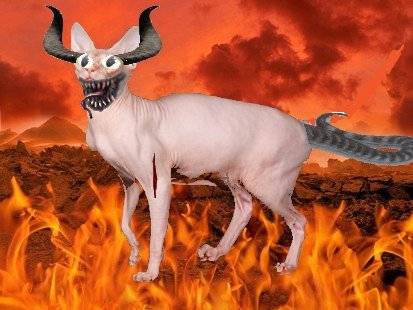 Моя дилетантская работа, вне Моя дилетантская работа, вне