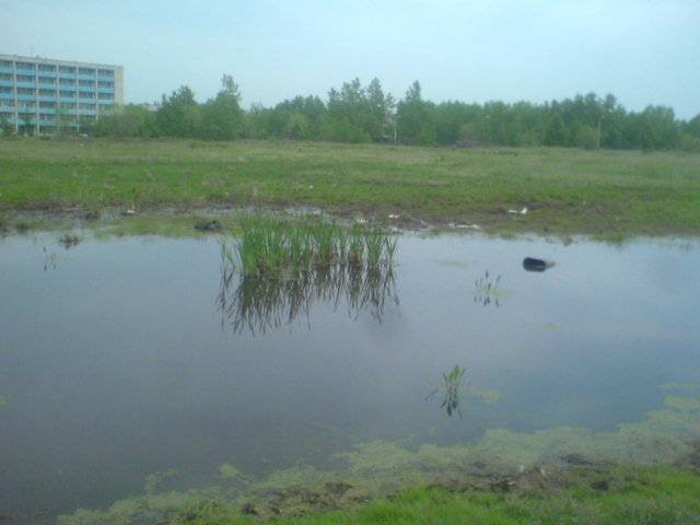 nikita demon вот фото когда nikita demon вот фото когда