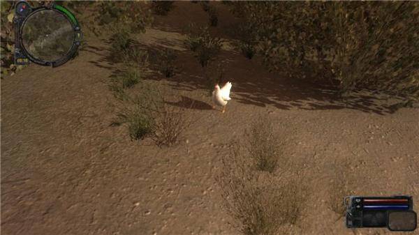 Оказывается теперь по Зоне