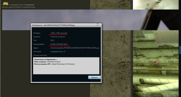 Пользователь Тарасов
Я Пользователь Тарасов
Я