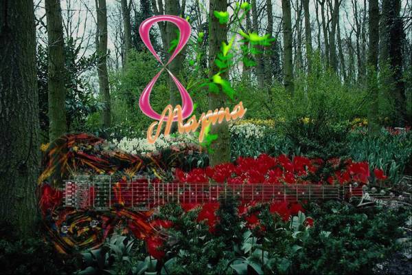 Поздравляю всех Дам С