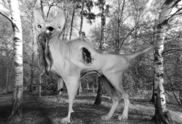 Работа Костлера, который Работа Костлера, который