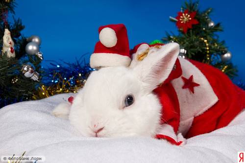 С Новым Годом, друзья!
Желаю С Новым Годом, друзья!
Желаю