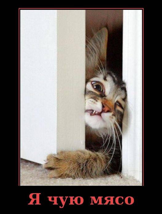 (Тема не указана) (Тема не указана)