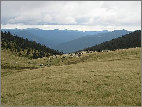 Spoiler: Highlight to Spoiler: Highlight to