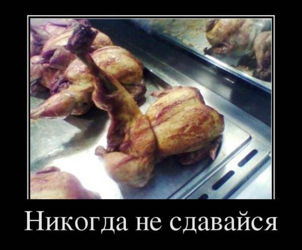 Spoiler: Highlight to view