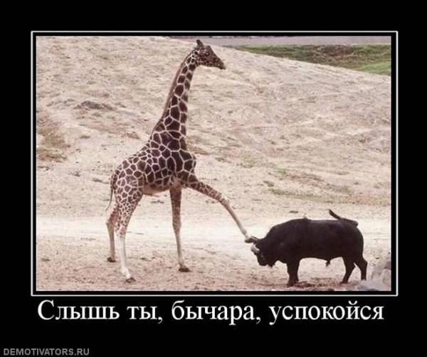 Spoiler: Highlight to view