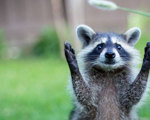 Твое лицо, когда заместитель Твое лицо, когда заместитель