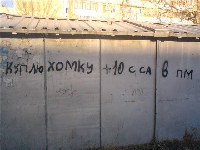 Удачное место для рекламы ... Удачное место для рекламы ...