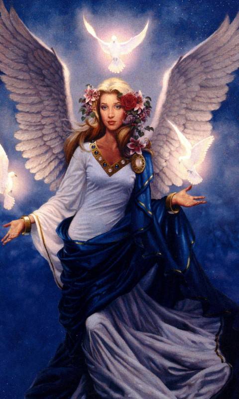 .for anomnia .for anomnia