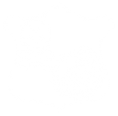 В группировке вводится В группировке вводится