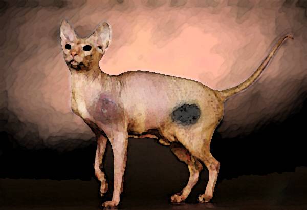 Вот,я все Вот,я все