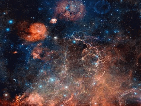 второй вариант кошки второй вариант кошки