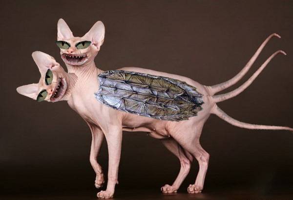 Я нашёл предка химеры! Вот Я нашёл предка химеры! Вот