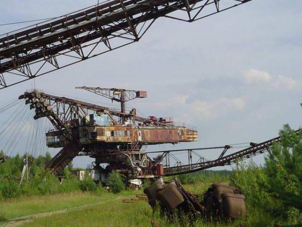 Абзацеры – вымирающие гиганты Лопатинского рудника. (Подмосковье ).